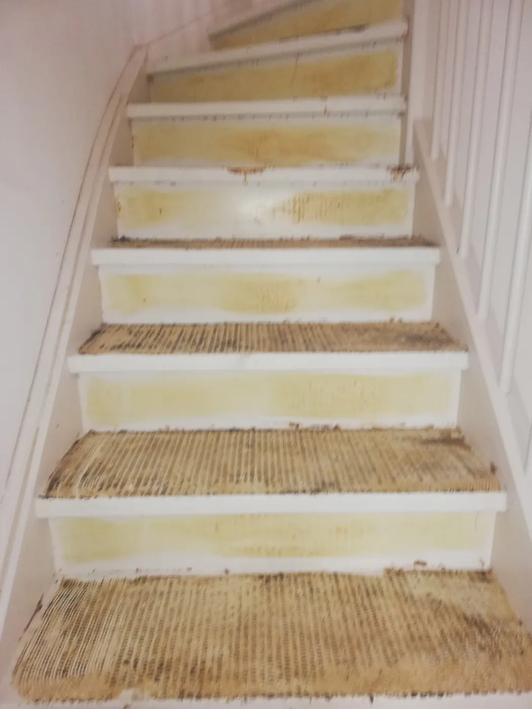 Stripping and priming a staircase, photo 1